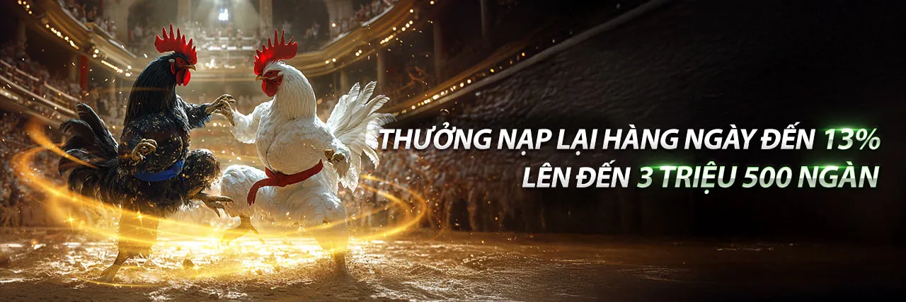 Đấu trường đá gà trực tuyến CLB88 sôi động